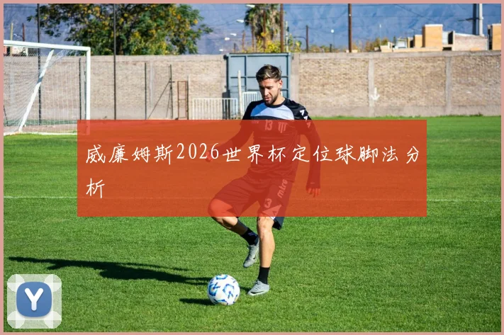 威廉姆斯2026世界杯定位球脚法分析