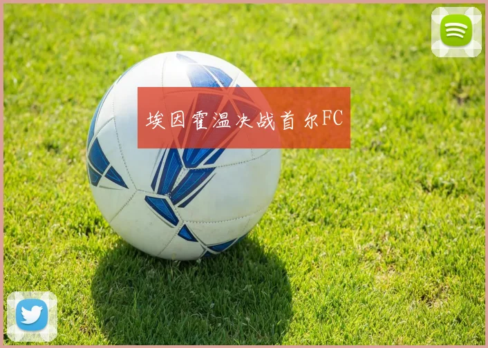 埃因霍温决战首尔FC