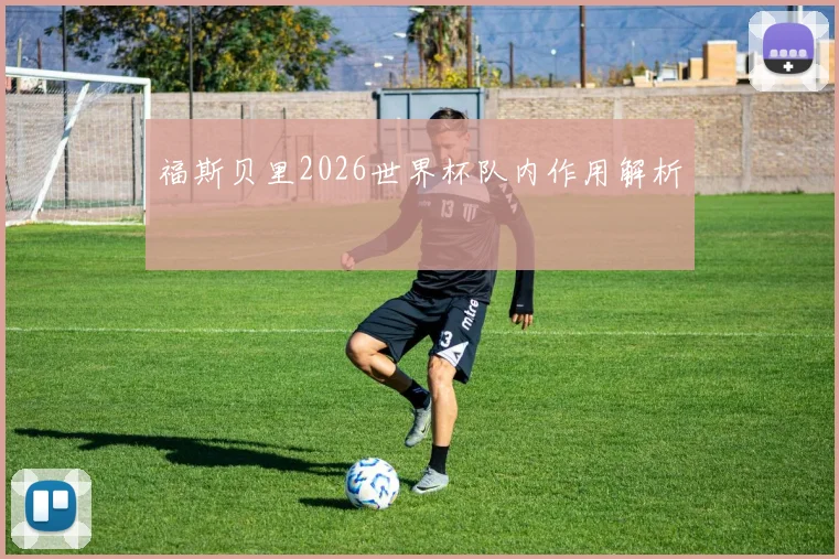 福斯贝里2026世界杯队内作用解析