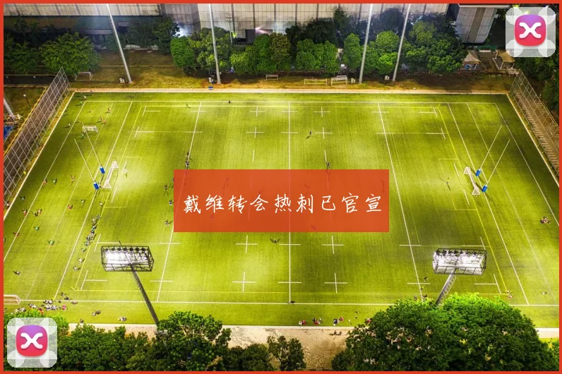 戴维转会热刺已官宣