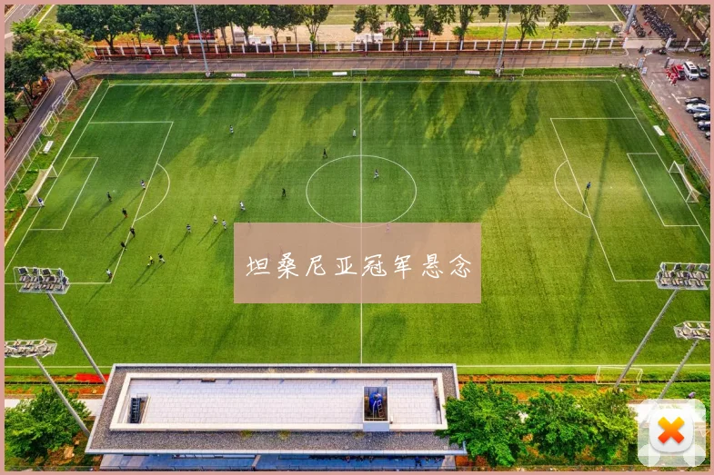 坦桑尼亚冠军悬念