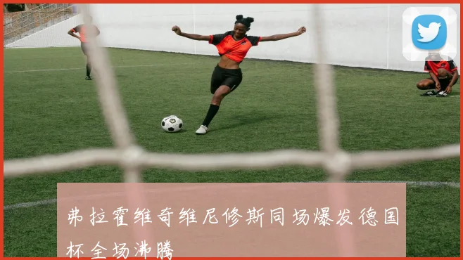 弗拉霍维奇维尼修斯同场爆发德国杯全场沸腾