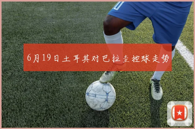 6月19日土耳其对巴拉圭控球走势