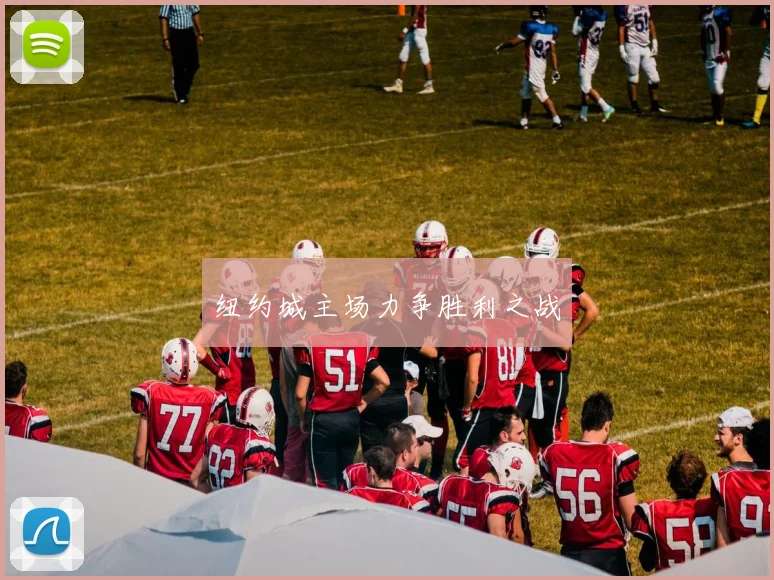 纽约城主场力争胜利之战