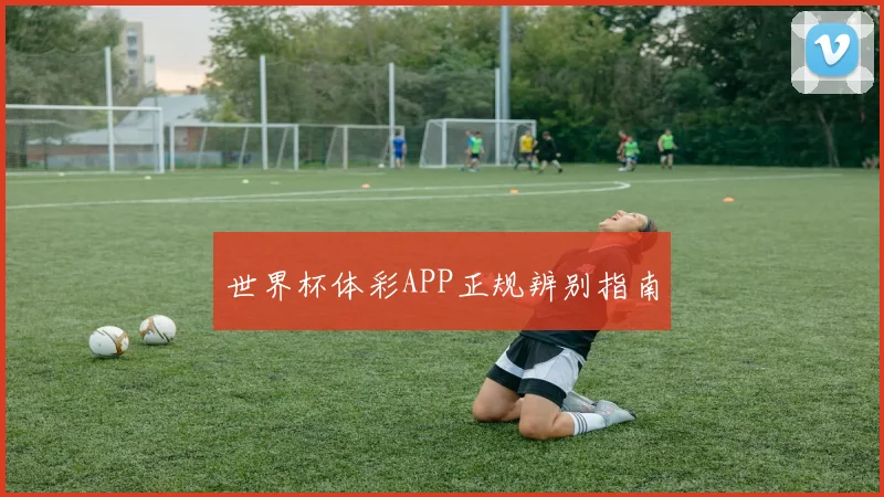 世界杯体彩APP正规辨别指南