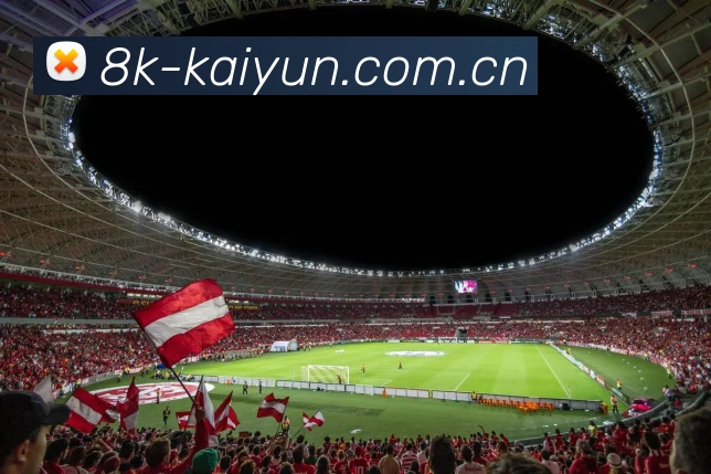 kaiyun App 展示图
