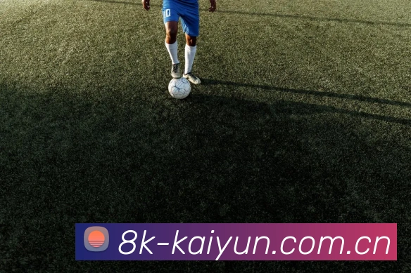 kaiyun全球热力图